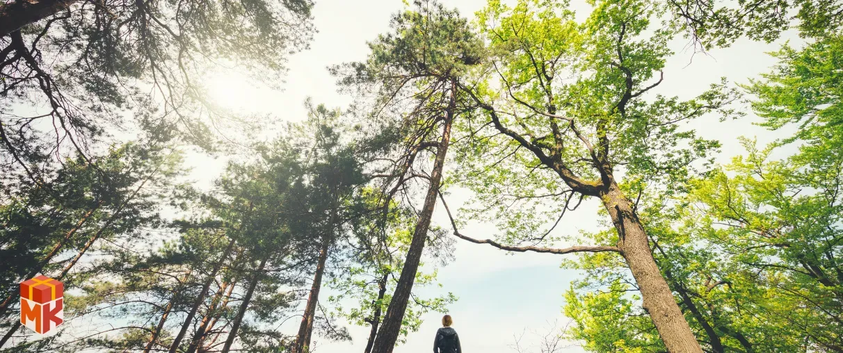  کیت تجربه ذهنی