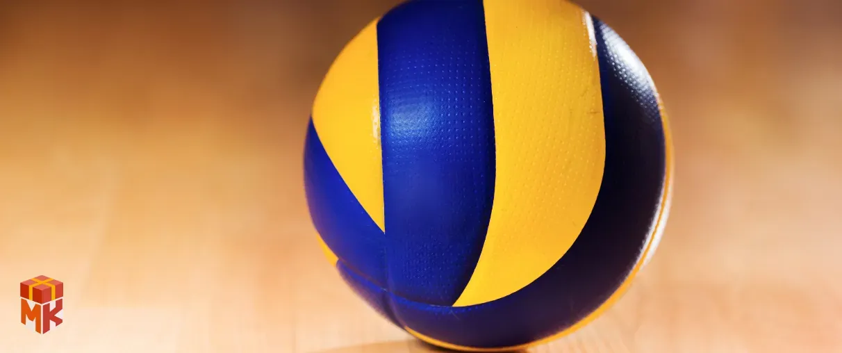توپ والیبال حرفه&zwnj;ای