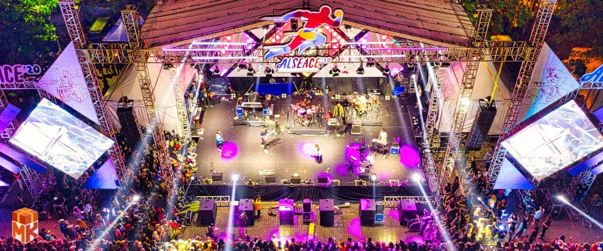 بلیط کنسرت یا استادیوم