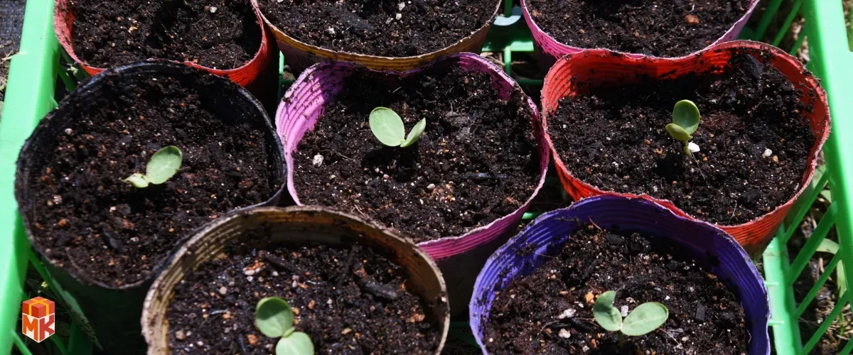  کیت گل&zwnj;کاری خانگی